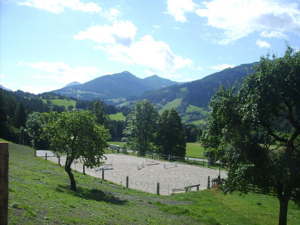 Saumerhof Farma Schladming