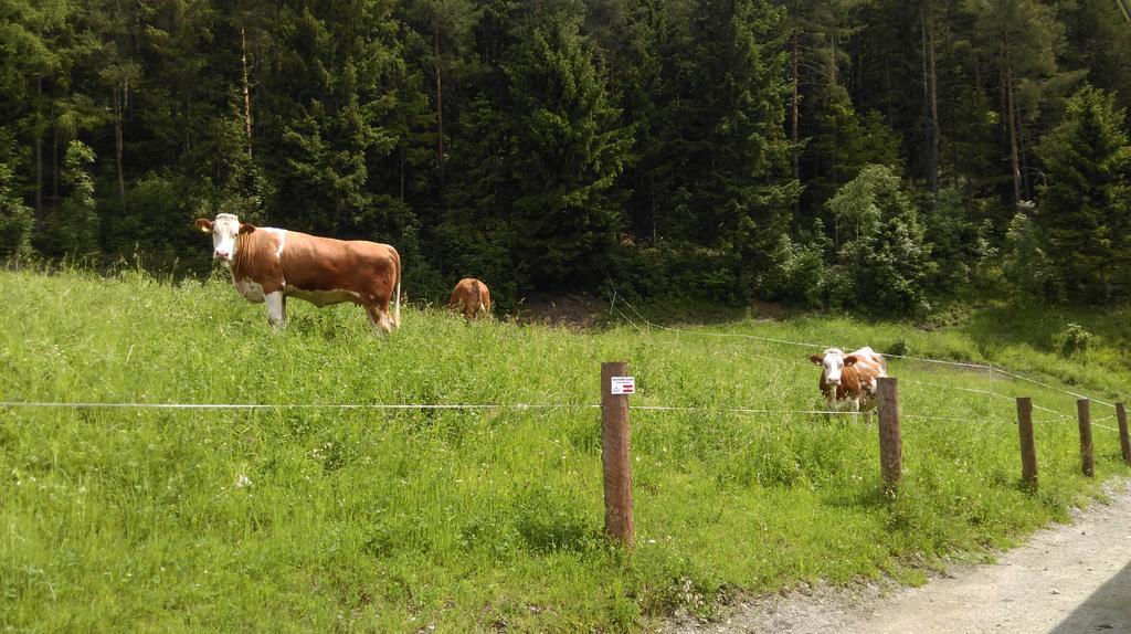 Saumerhof Schladming