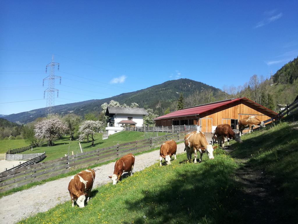 Saumerhof Farma *