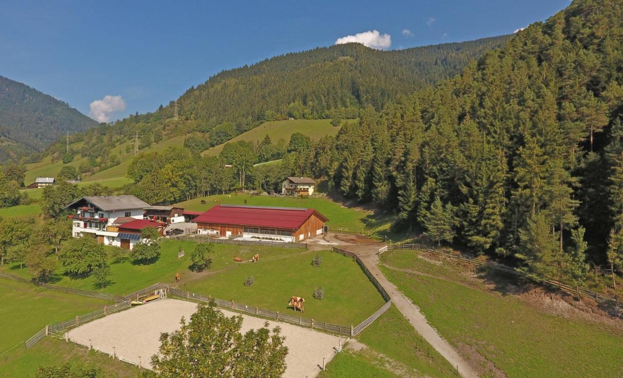 Saumerhof Farma