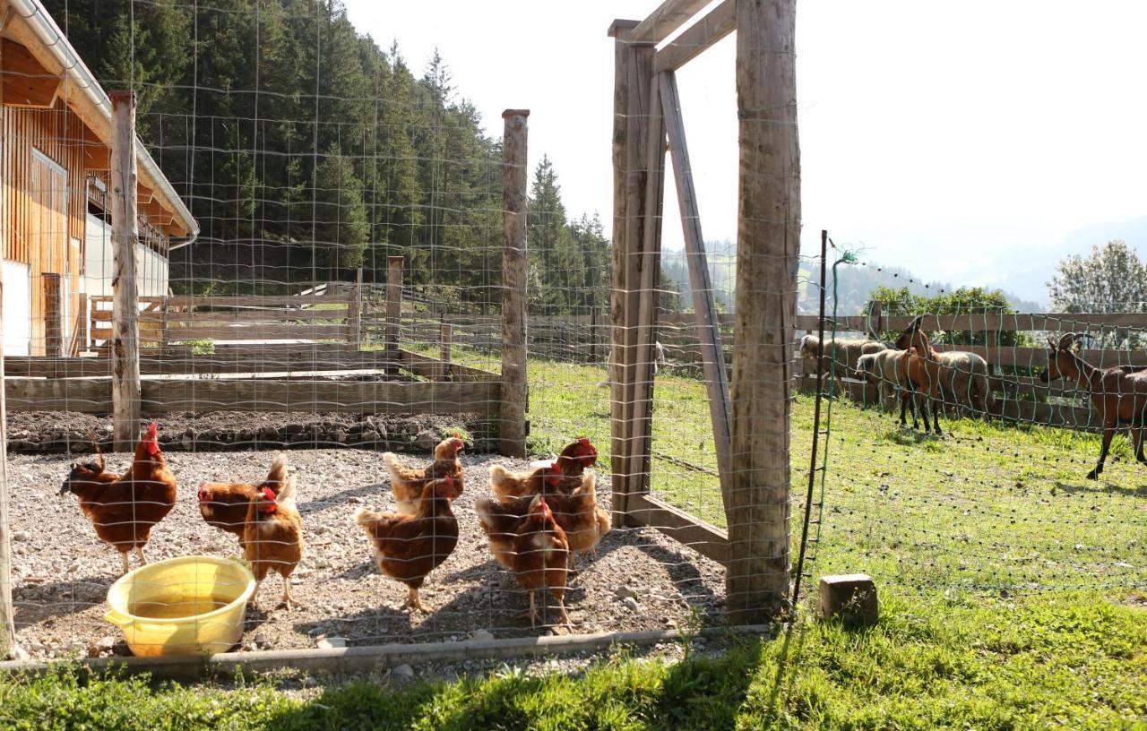 Saumerhof Farma *